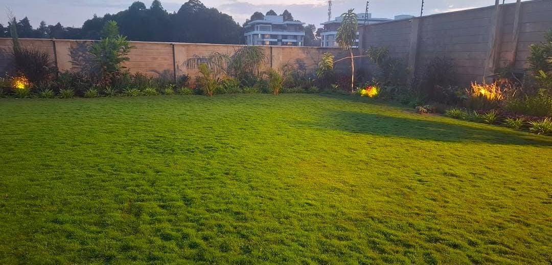 Lawn with Tropical Border Planting