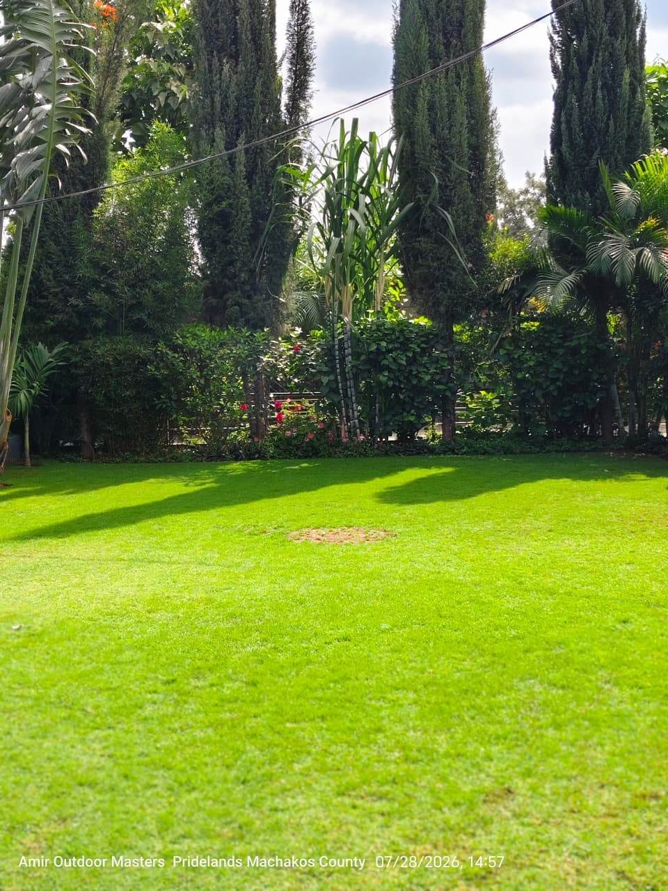 Natural Lawn Care & Landscaping
